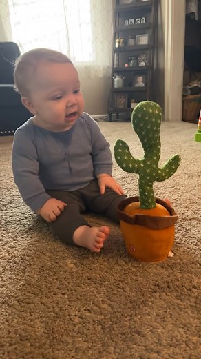 The last one got me laughing really hard!😂 Get your talking cactus through the link in our bio 👉Toys BabyFin #baby #toys | Toys BabyFin