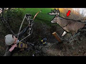 Bow Hunting Giant Buck with the Decoy!! (PEAK RUT HUNT)