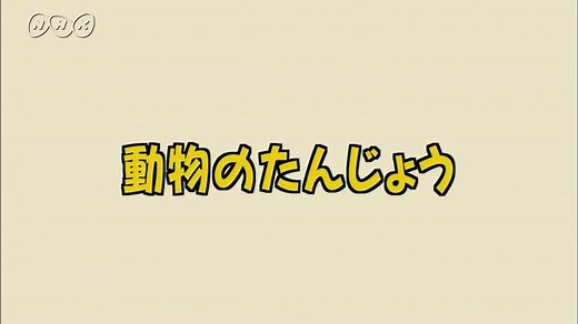 動物のたんじょう | 理科５年　ふしぎワールド | NHK for School