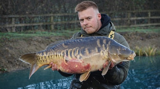 Adding huge fish to the lake I built