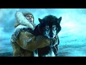 屡次被主人丢弃的二哈，竟是万里挑一的犬王：根据真实故事改编