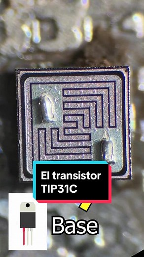Construcción Interna del Transistor TIP31C
