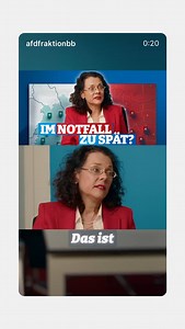 AfD Brandenburg on Reels