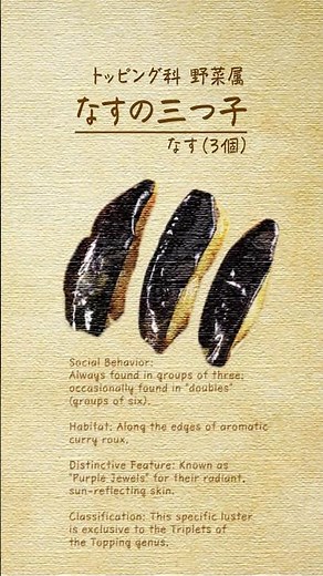 #Cocoichi Ecology Guide