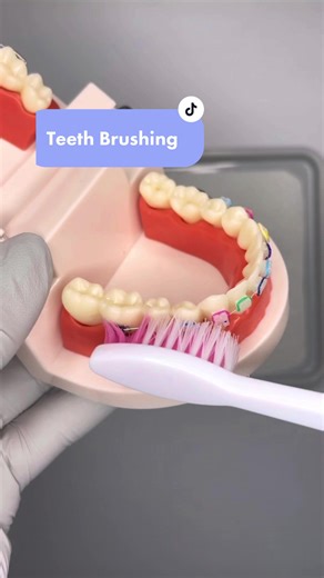 ASMR teeth brushing #teeth #teethwhitening #brushingteeth #asmrsounds #toydentist #dentist
