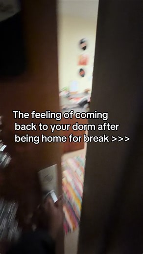 Missed my little room sm #dorm #college #winterbreak #school #viral | dorm