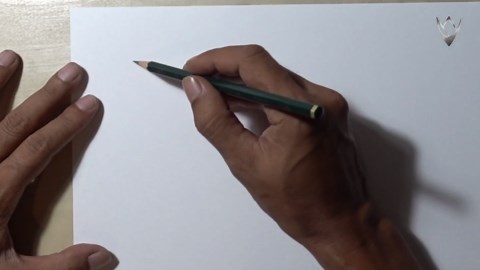 Master lion drawing tutorial with fun steps and realistic sketch practice