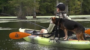 16 reactions · 7 comments | The Pescador Pro has room for all of your fishing gear and even a furry angling buddy. With loads of storage and accessory mounting options, this boat offers so many ways to customize your experience on the water! | Perception Kayaks | Facebook