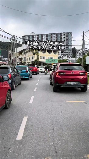 Explore Cameron Highlands: A Guide to the Scenic Beauty