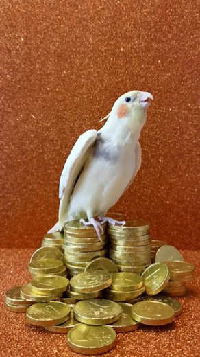 mr.Lubitsch | A midnight toast to all my friends near and far. Happy 2023 my love 💛🎶🥂 “... libiamo, libiamo ne' lieti calici, che la bellezza infiora E... | Instagram