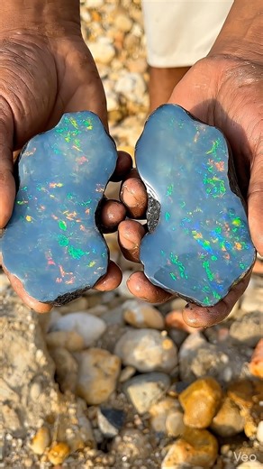 Amazing Opal Stone Split Open – The Colors Inside Are Unreal!” ✨