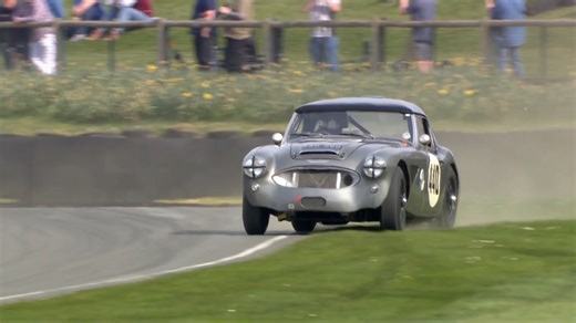 57K views · 1K reactions | We won't show Goodwood's groundsmen this one... The Austin Healey took an interesting racing line in the Moss Trophy at #82MM! #AustinHealey | Goodwood Road & Racing | Facebook