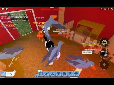 I accidentally summoning dorce while trying to summon screaming shoebill | feather family
