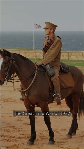The Great Emu War: Humans vs Birds