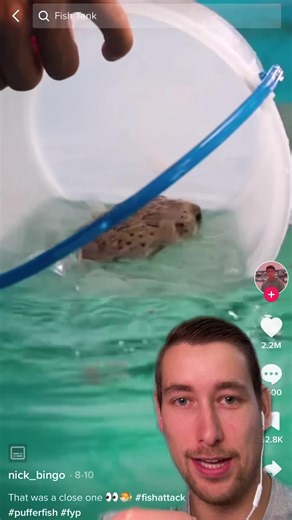 Puffer Fish Explodes Camera While Being Moved to Tank