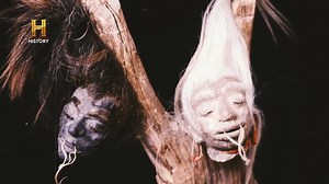 436K views · 9.5K reactions |  Una cueva amazónica atesora un...