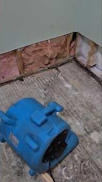 Water Damage Drying Video #WaterDamage #Flooring