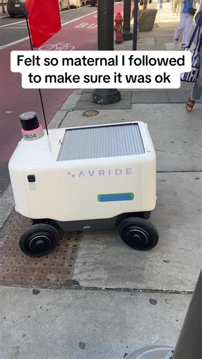 The Heartwarming Struggles of Little Robots