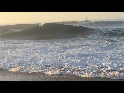 THE WEDGE LIVE Biggest day of the Year!