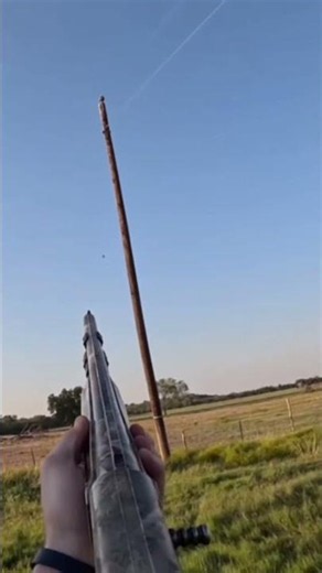 “HE’S SMOKED” | DOVE HUNTING