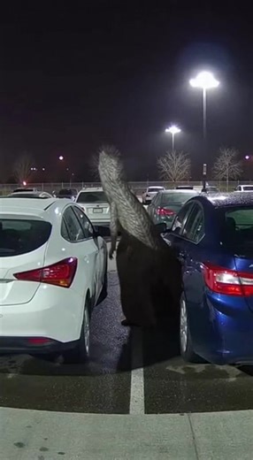 That movement doesn’t make sense. Did you see it the first time? #fyp #viralreels #securitycamera #ghost #creature