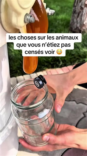 Les choses surprenantes sur les animaux que vous n’étiez pas censé voir