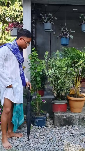 2.7K reactions · 18 shares | Jaiha Pinw hagwn Biha labwbai Tagwn..來藍 #followerseveryonehighlights #fbreelsfypシ゚viralシ #viralvideoシ #highlightsシ゚ #fbviralreels #fbreelsvideo #comedyreels #followersシ゚ #FBVIDEO #fb @highlight #fbpost | Harimu Boro | Facebook