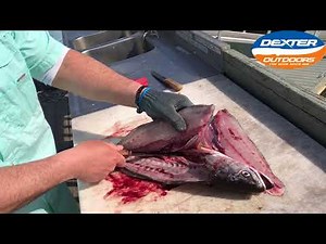 How to Fillet a Weakfish / Seatrout