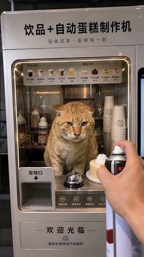 猫儿这个小气 #橘猫 #丑橘 #圆头耄耋 #哈基米 #可爱萌宠 #小猫 #金渐层 #猫咪的迷惑行为 #猫咪成精了 #幸亏我瘦 #卡肚子 #猫咪新玩具 #搞笑动物 #搞笑视频 #貓咪日常 #猫咪 #胖橘