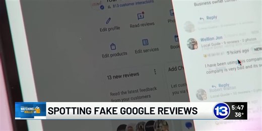 Watching Your Wallet: Spotting Fake Google Reviews