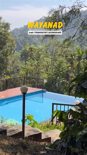 Tripeazy on Instagram: "Romantic tree hut Wayanad ⬇️ CONTACT US FOR THE BEST RESORTS & PACKAGE 👇 📞CALL:- +91 7306650787 📞CALL:- +91 7510505990 📞CALL:- +91 8075959142 📞CALl:- +91 8075474926 📞 📞CALL:- +9 6238501401 ❤️SHARE AND SAVE THIS VIDEOS FOR YOUR NEXT TRIP. 📍WAYANAD 📍MUNNAR 📍VAGAMON 📍KAKKADAMPOYIL 📍OTTY 📍KODAIKANAL 📍ALAPPUZHA HOUSE BOATS ✳️RESORTS ✅PREMIUM RESORTS ✅BUDGET RESORTS ✅LUXURY HOTEL ROOMS ✅HONEY MOON PACKAGE ✅SPECIAL CAVE DINNER ✅PRIVATE POOL VILLA ✅JUNGLE STAY ✅HOME