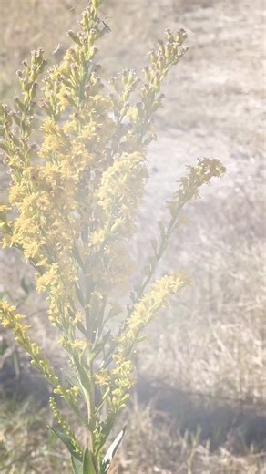 Not just the world's best boat party! Join our prestigious Paradise Country Club this winter. Membership Includes free play of our 6 hole micro golf course, free kayak rentals, and exclusive discounts on boat, cabana and venue rentals. Always more to come at www.NolaPedalBarge.com #neworleans #boatparty #louisiana #countryclub #exclusive #winterfun #thingstodoinnola #winteractivities | New Orleans Pedal Barge