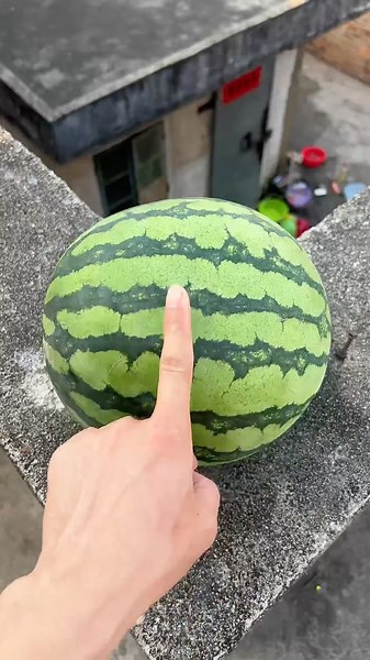 Experiment: Will a watermelon explode if it rolls off a high-rise building? 🍉💥 #watermelon