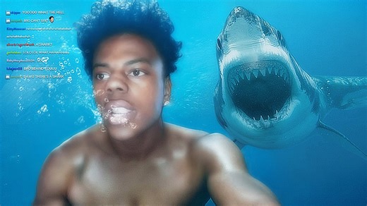 YouTubers that were almost killed