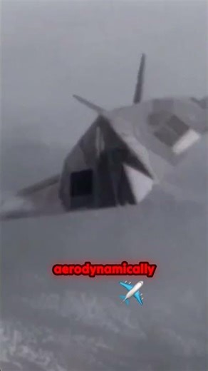 Why the Stealthiest Plane Was a Nightmare to Fly