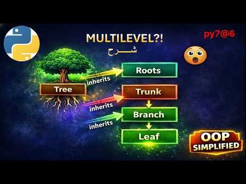 py7@6 شرح الوراثة متعددة المستويات في بايثون 🌳Multilevel Inheritance