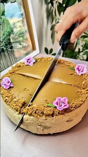 Lotus Biscoff Tiramisu Cake