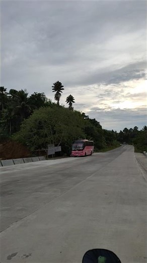Mega Bus Lines Corp. 26D329 // Gumaca Bypass Road // Aug/24/2025 #transport #travel #bus