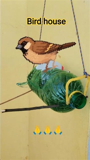 #mughe need na aye mughe chain# bird love 😘@sparrow house 🏠🥰🙏 trending vedio 🥰🥰🙏👍