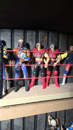 tag team collection #wwe #wwefigures #wwetoys