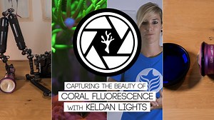 How to film CORAL FLUORESCENCE (Tutorial, Making of, Keldan Lights, GH4, Nauticam, Fluo Diving)