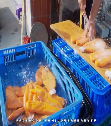 Amazing Mullet Roe Harvesting and Mullet Fish Recipes That You’ll Fall in Love With | Moyadavid1