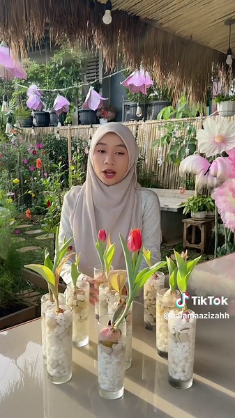 Cinta Bunga Tulip: Perjalanan Mekar Selama 4 Bulan