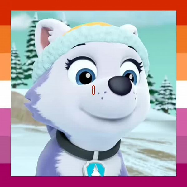 Adorable Paw Patrol Ships Edit Featuring Everest and Skye!