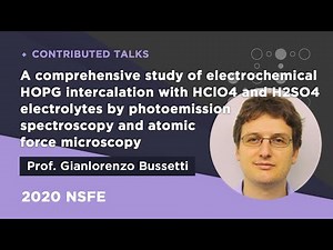 A comprehensive study of electrochemical HOPG intercalation withHClO4 and H2SO4 (...) | 2020NSFE