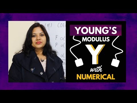 Young's Modulus (Y) || Elasticity || Stress || Strain || (Theory & Numerical)