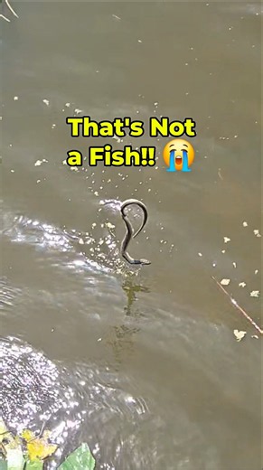Girl Makes CRAZY Catch!! A Snake Emerges Instead of a Fish!