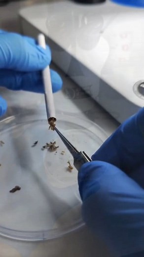 . . . . #microscope #undermicroscope #cigarette #Amazing #tranding | Microscope Under