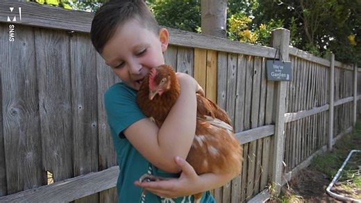 Meet the boy who spends his time with his best friend, a chicken