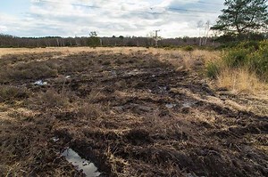 Chobham Common - Alchetron, The Free Social Encyclopedia